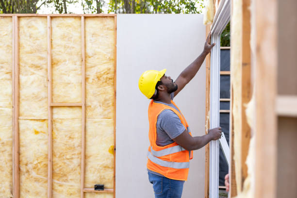 Best Affordable Insulation Services  in Sheboygan Falls, WI